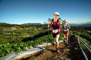 BIB: 2762
                            <button type="button" onclick="openModal(19115773)" class="btn btn-primary btn-sm float-right btn-popup" data-toggle="modal" data-target=".modal-high-quality">
                        <i class="fas fa-shopping-cart"></i> Add to Cart
                    </button>
                                            <button type="button" onclick="isThisMe(19115773, true)" class="btn btn-success btn-sm float-right btn-popup btn-isme hidden" data-toggle="tooltip" data-placement="bottom" title="นี่คือรูปของคุณใช่ไหม คลิกที่นี่เพื่อเอาเข้าอัลบั้ม">
                        <i class="fas fa-plus"></i> Add to album
                    </button>
                    <button type="button" onclick="isThisMe(19115773, false)" class="btn btn-warning btn-sm float-right btn-popup btn-isnotme hidden">
                        <i class="fas fa-ban"></i> Remove from album
                    </button>